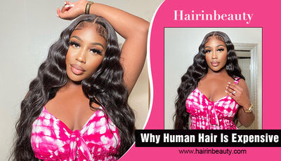 Why Human Hair  Wig Is Expensive